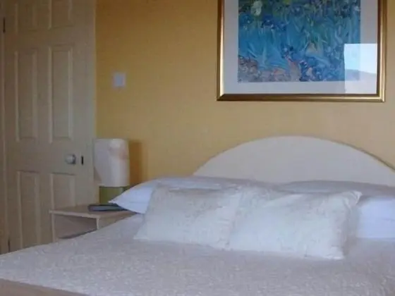 Tek Büyük Yataklı Oda, Banyolu/Duşlu, Dağ Manzaralı