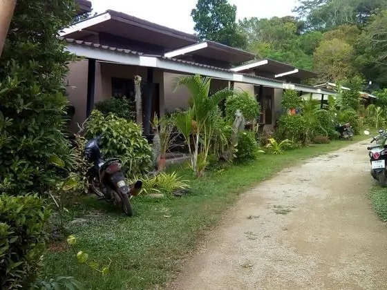 Design Tek Büyük Yataklı Oda, 1 En Büyük (King) Boy Yatak, Bahçe Manzaralı, Avlu