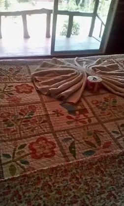 Standard Bungalow, Fan