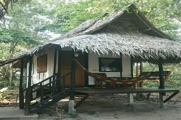 Fan Cottage Backside