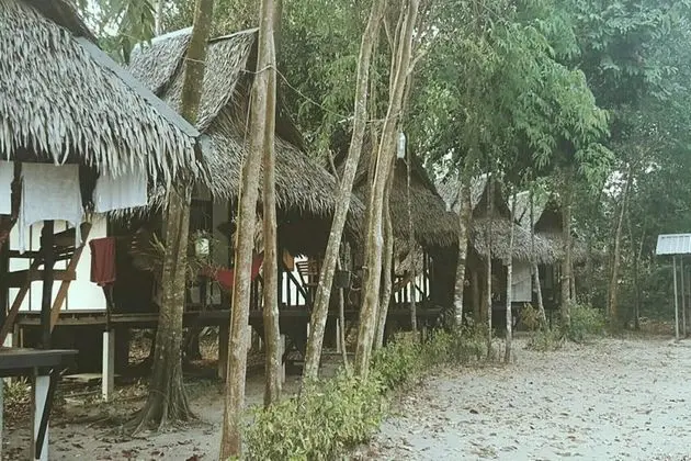 Fan Cottage Backside