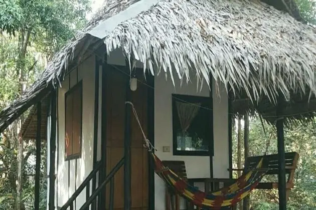 Fan Cottage Backside