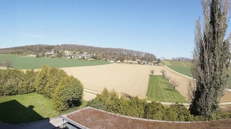 Basic Tek Büyük Yataklı Oda