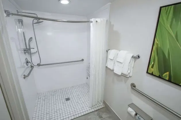 Oda, 1 En Büyük (King) Boy Yatak, Engellilere Uygun, Sigara İçilmez (Roll-in Shower)