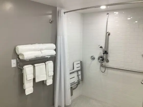 Oda, 2 Çift Kişilik Yatak, Sigara İçilmez (Mobility Access, Roll-in Shower)
