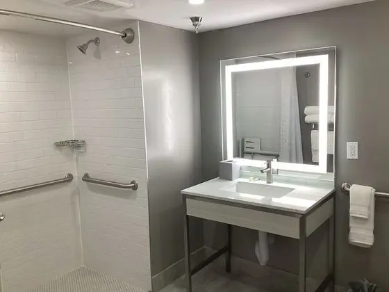 Oda, 2 Çift Kişilik Yatak, Sigara İçilmez (Mobility Access, Roll-in Shower)