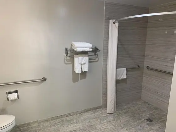 Standard Oda, 1 En Büyük (King) Boy Yatak, Engellilere Uygun