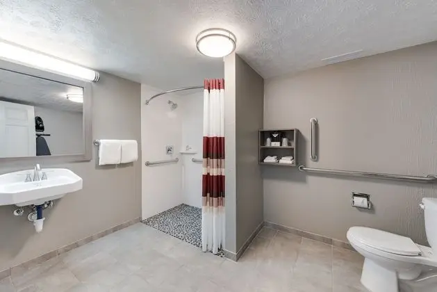 Standard Oda, 1 En Büyük (King) Boy Yatak, Engellilere Uygun (Roll-In Shower/Smoke Free)