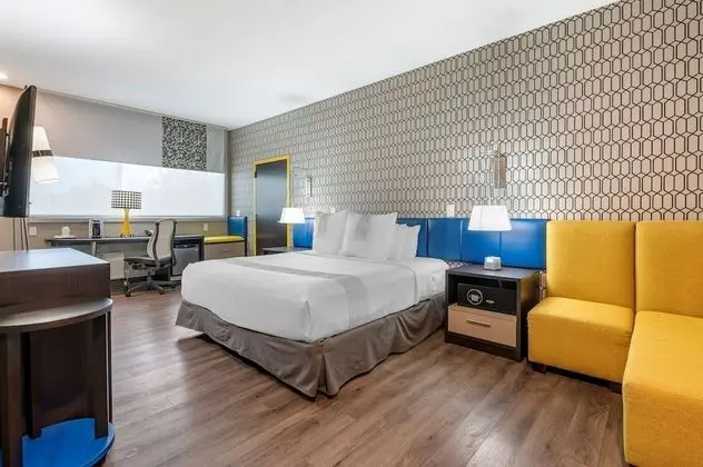 Standard Oda, 1 En Büyük (King) Boy Yatak, Engellilere Uygun, Sigara İçilmez (Walk-in Shower)