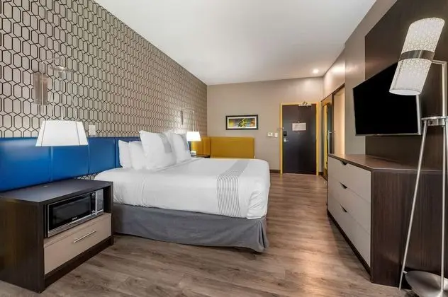 Standard Oda, 1 En Büyük (King) Boy Yatak, Engellilere Uygun, Sigara İçilmez (Walk-in Shower)