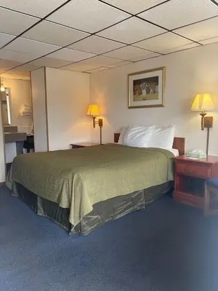 Standard Oda, 1 Büyük (Queen) Boy Yatak, Sigara İçilmez (Pet Friendly)