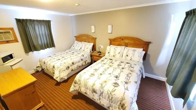 Deluxe Oda, 2 Çift Kişilik Yatak, Sigara İçilmez