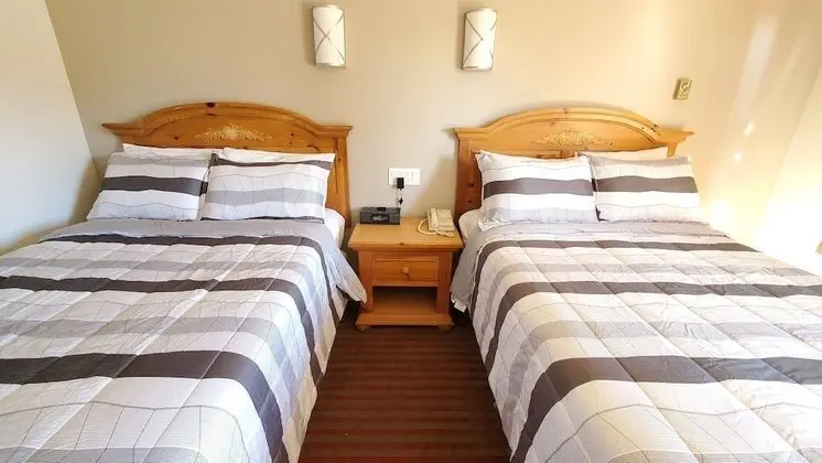 Deluxe Oda, 2 Çift Kişilik Yatak, Sigara İçilmez
