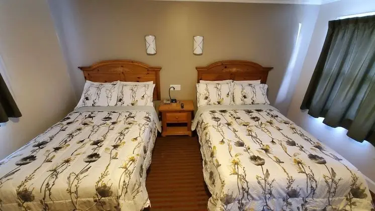 Deluxe Oda, 2 Çift Kişilik Yatak, Sigara İçilmez