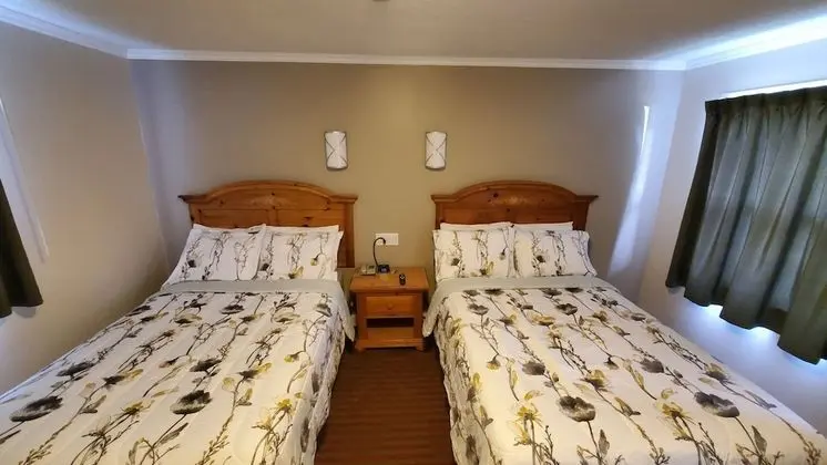 Deluxe Oda, 2 Çift Kişilik Yatak, Sigara İçilmez