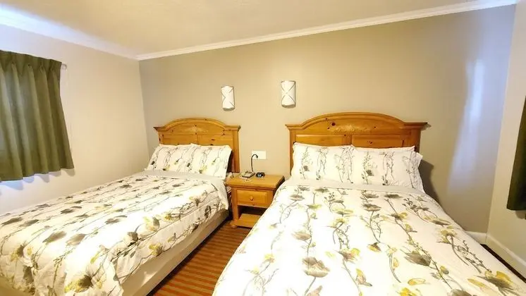 Deluxe Oda, 2 Çift Kişilik Yatak, Sigara İçilmez