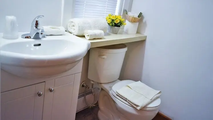 Deluxe Oda, 2 Çift Kişilik Yatak, Sigara İçilmez