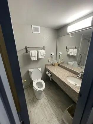 Standard Tek Kişilik Oda, 1 En Büyük (King) Boy Yatak, Sigara İçilebilir