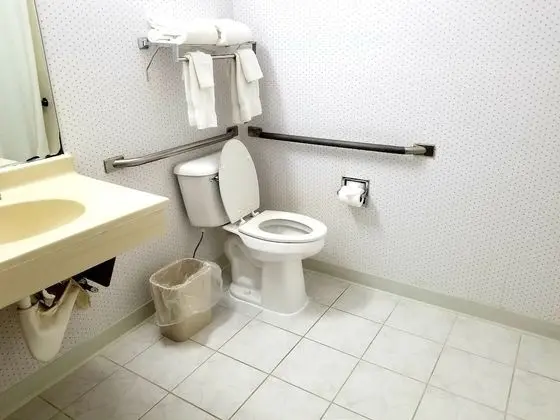 Oda, 1 Büyük (Queen) Boy Yatak ve Çekyat, Engellilere Uygun, Sigara İçilmez (Roll-In Shower)