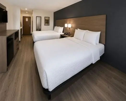 Oda