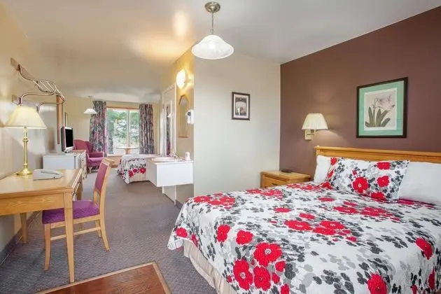 Deluxe Oda, 1 En Büyük (King) Boy Yatak, Sigara İçilmez