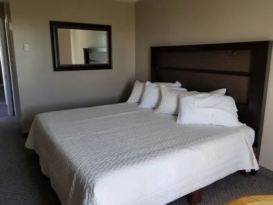 Deluxe Oda, 1 En Büyük (King) Boy Yatak, Sigara İçilmez