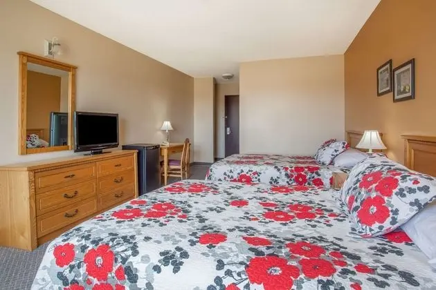 Deluxe Oda, 2 Büyük (Queen) Boy Yatak, Engellilere Uygun, Sigara İçilmez