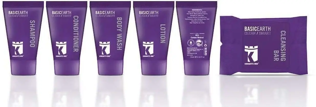 Deluxe Oda, 2 Büyük (Queen) Boy Yatak, Engellilere Uygun, Sigara İçilmez