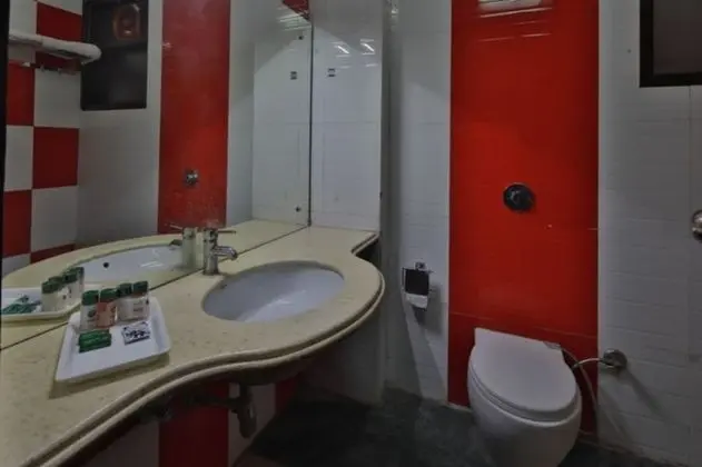 Deluxe Oda, 1 Yatak Odası, Özel Banyo, Şehir Manzaralı
