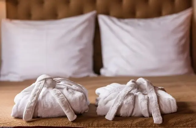 Comfort Tek Büyük Yataklı Oda, Şehir Manzaralı