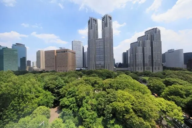 Deluxe İKi Ayrı Yataklı Oda, Sigara İÇilmez, Park Manzaralı (23 Sqm, Top Floor)