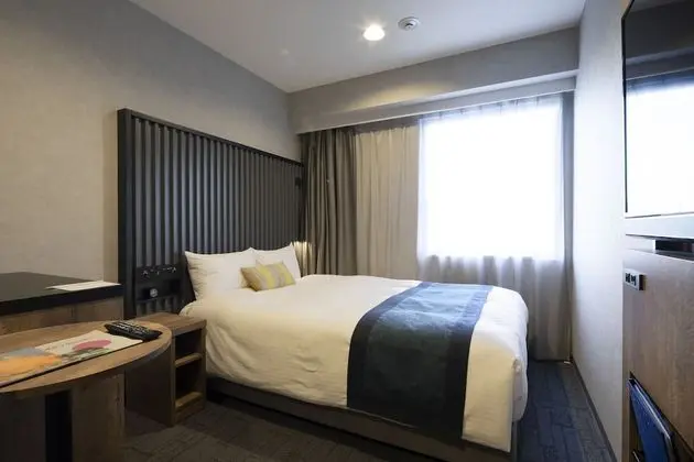 Superior Tek Büyük Yataklı Oda (16 Sqm)