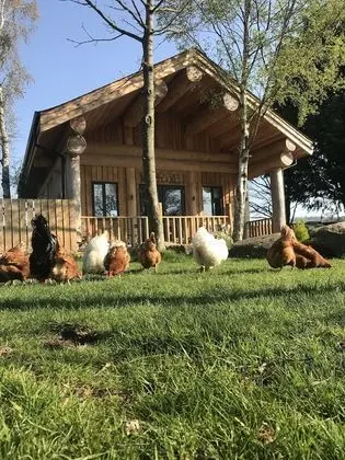 Kulübe, 1 En Büyük (King) Boy Yatak