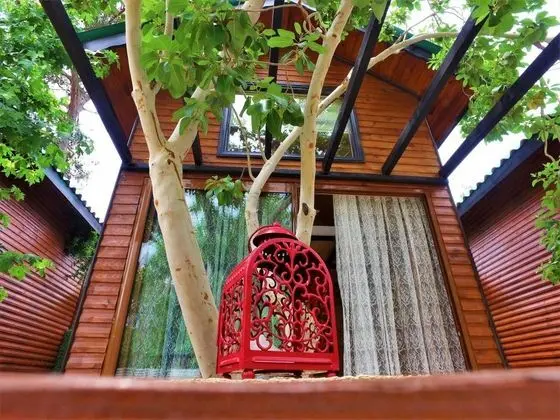 Deluxe Bungalow,havuz Manzaralı