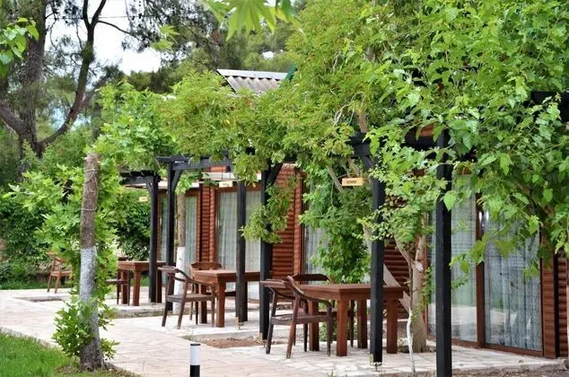 Deluxe Bungalow,havuz Manzaralı