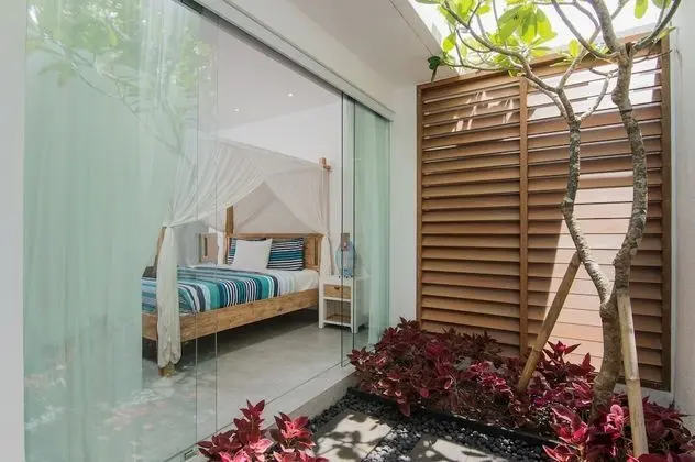 Luxury Villa