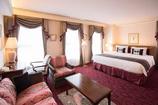 Deluxe Tek Büyük Yataklı Oda, Sigara İçilmez