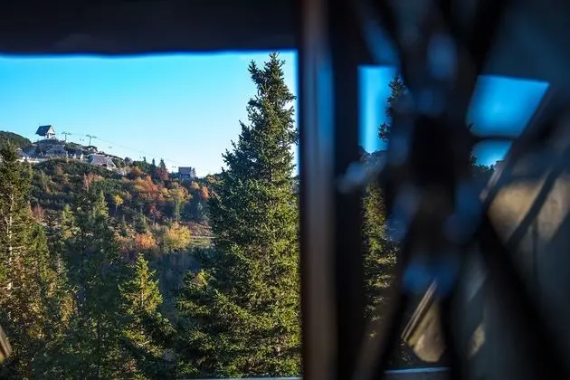 Luxury Dağ Evi (Bistra)