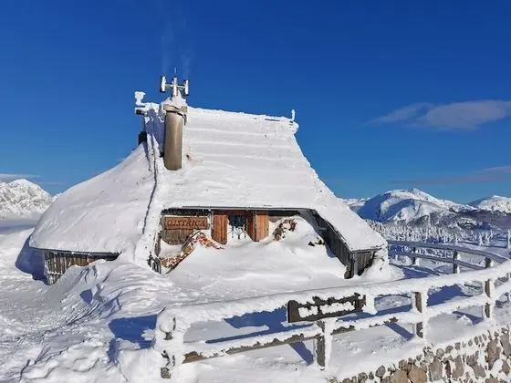 Luxury Dağ Evi, 2 Yatak Odası (Ojstrica)