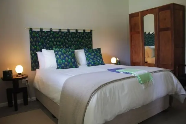 Deluxe Tek Büyük Yataklı Oda, Banyolu/Duşlu, Havuz Kenarı (Room5)