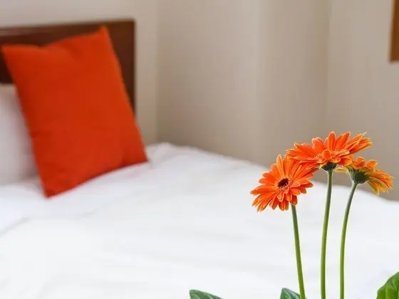 Standard Tek Kişilik Oda, Sigara İçilebilir