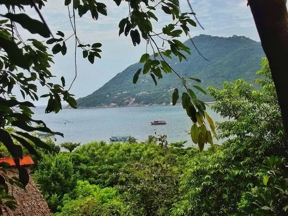 Deluxe Bungalow (Hill Side)