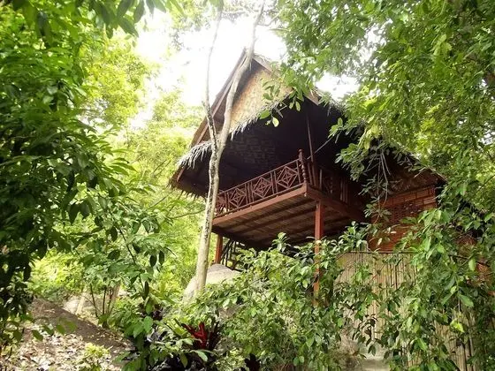 Deluxe Bungalow (Hill Side)
