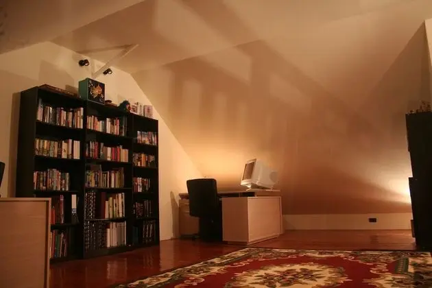 Çatı Katı Süiti (Penthouse), 1 Yatak Odası