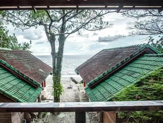 Cluster Villa