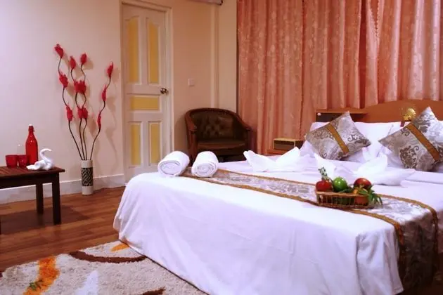 Deluxe Tek Büyük Yataklı Oda, 1 Büyük (Queen) Boy Yatak, Banyolu/Duşlu, Şehir Manzaralı