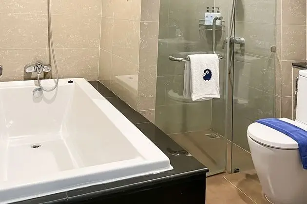 Superior Tek Büyük Yataklı Oda