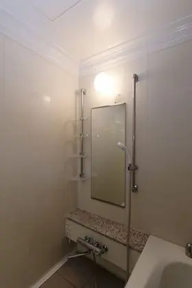 Ev