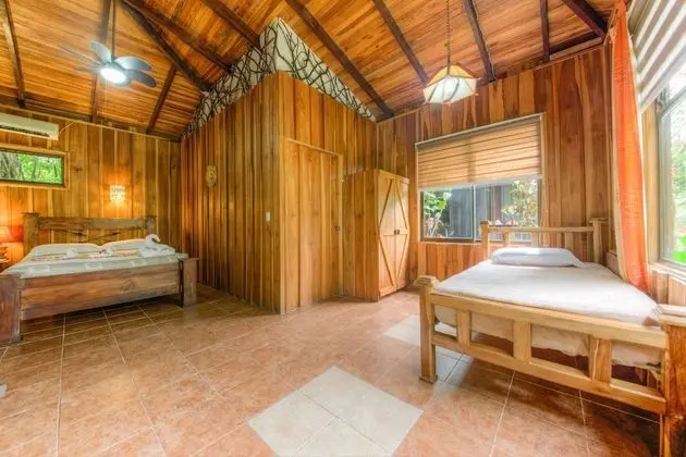 Premium Ecolodge