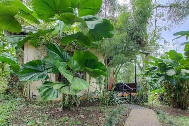 Premium Ecolodge